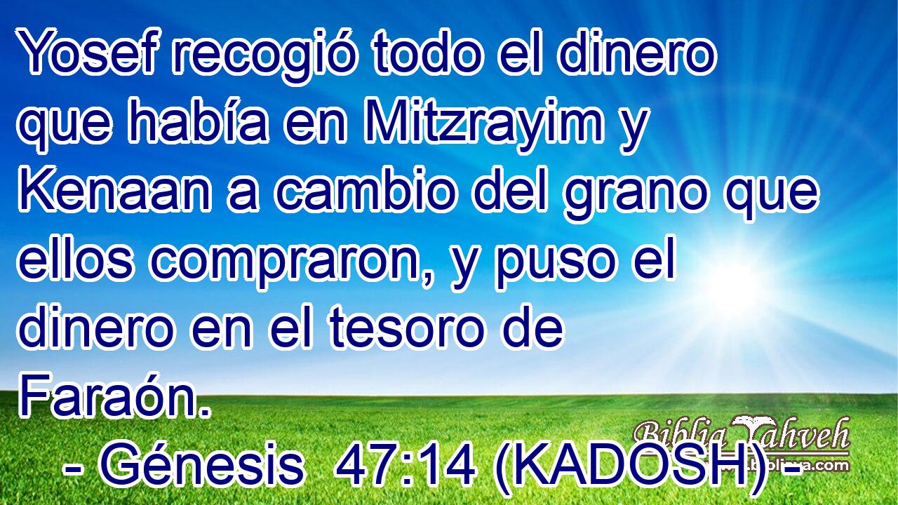  Yosef recogió todo el dinero que había en Mitzrayim y Kenaan a cambio del grano que ellos compraron, y puso el dinero en el tesoro de Faraón. 