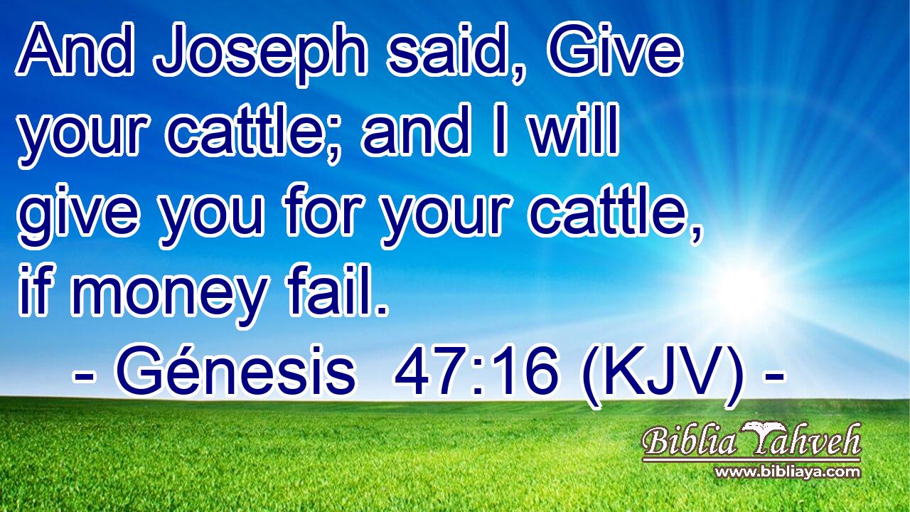 And Joseph said, Give your cattle; and I will give you for your cattle, if money fail.