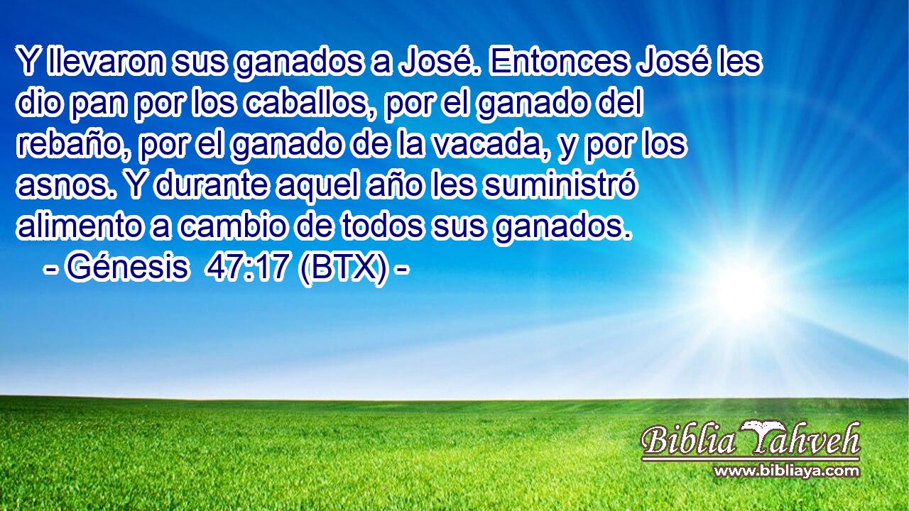 Y llevaron sus ganados a José. Entonces José les dio pan por los caballos, por el ganado del rebaño, por el ganado de la vacada, y por los asnos. Y durante aquel año les suministró alimento a cambio de todos sus ganados.