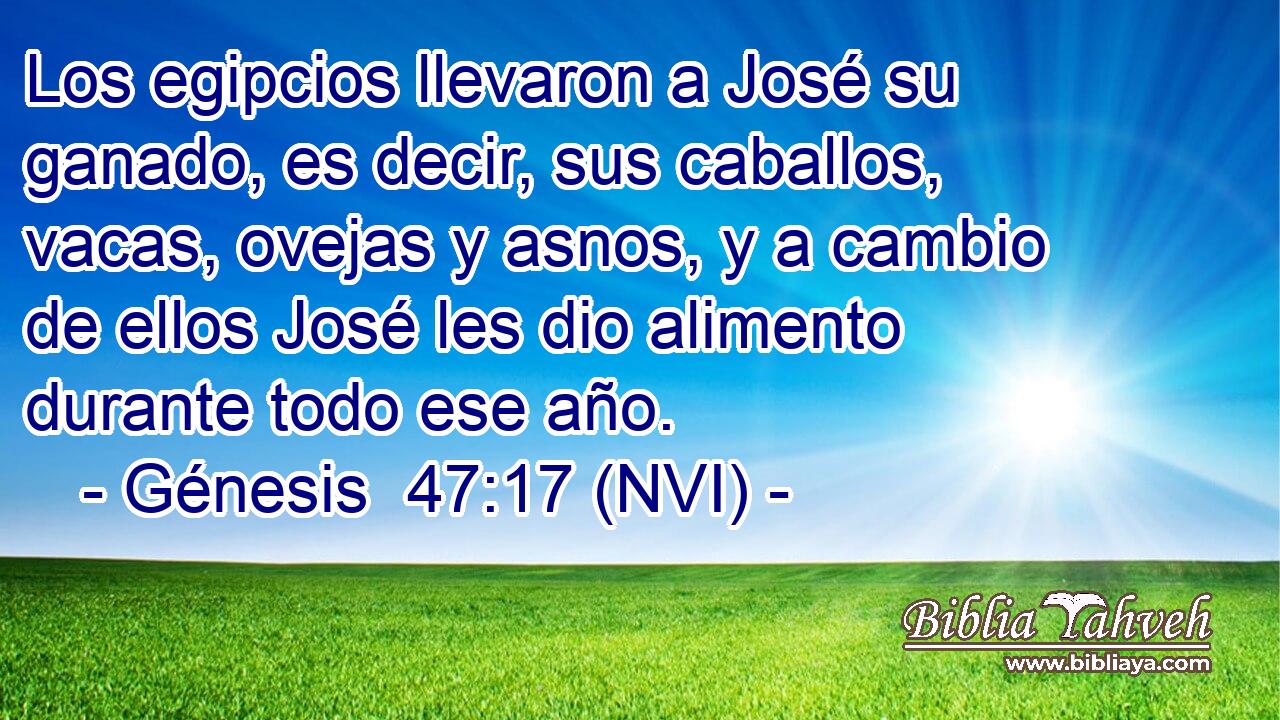  Los egipcios llevaron a José su ganado, es decir, sus caballos, vacas, ovejas y asnos, y a cambio de ellos José les dio alimento durante todo ese año. 