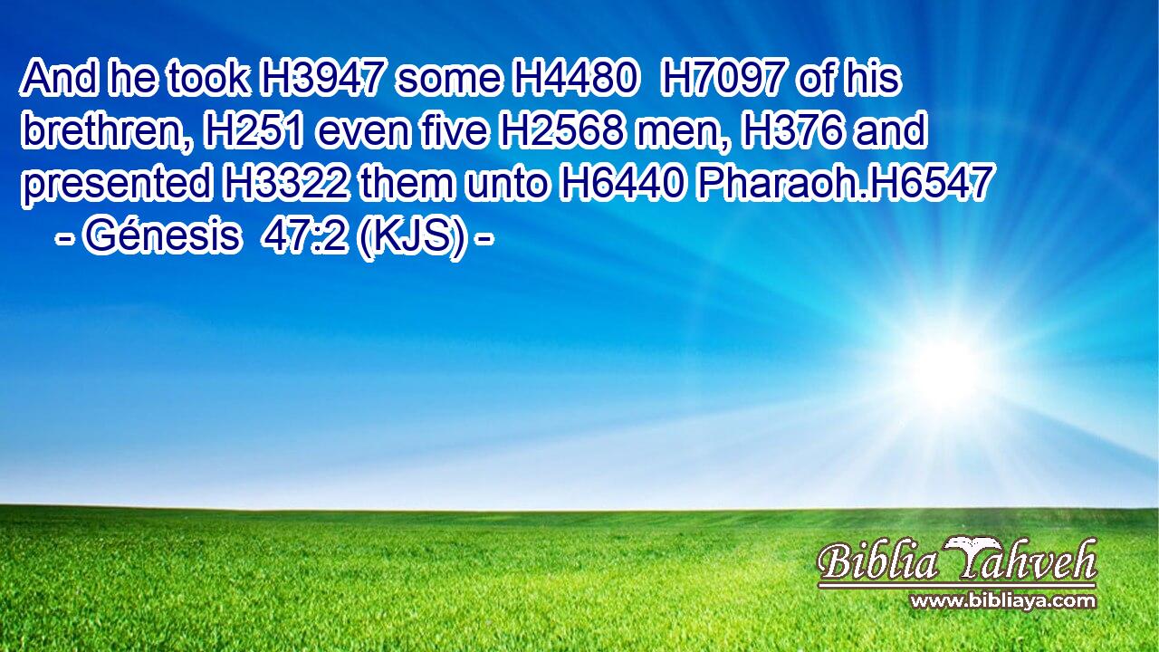 And he took H3947 some H4480  H7097 of his brethren, H251 even five H2568 men, H376 and presented H3322 them unto H6440 Pharaoh.H6547