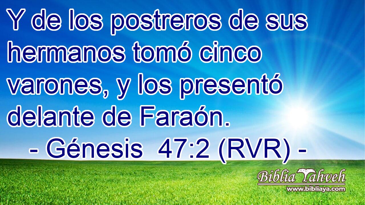 Y de los postreros de sus hermanos tomó cinco varones, y los presentó delante de Faraón.