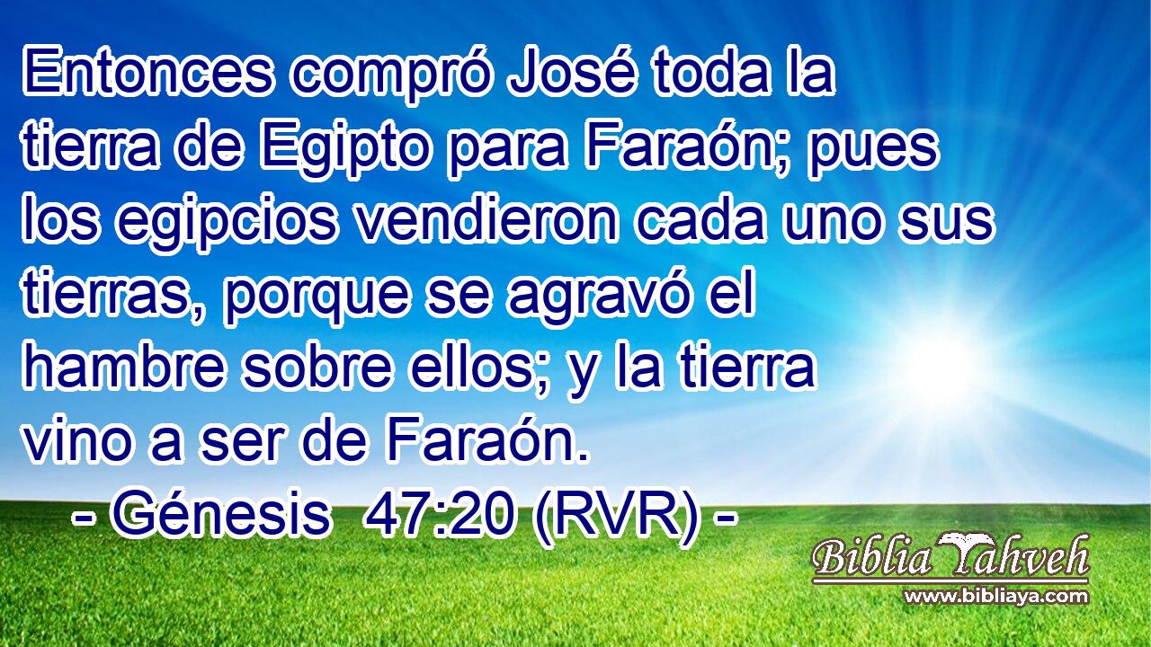 Entonces compró José toda la tierra de Egipto para Faraón; pues los egipcios vendieron cada uno sus tierras, porque se agravó el hambre sobre ellos; y la tierra vino a ser de Faraón.
