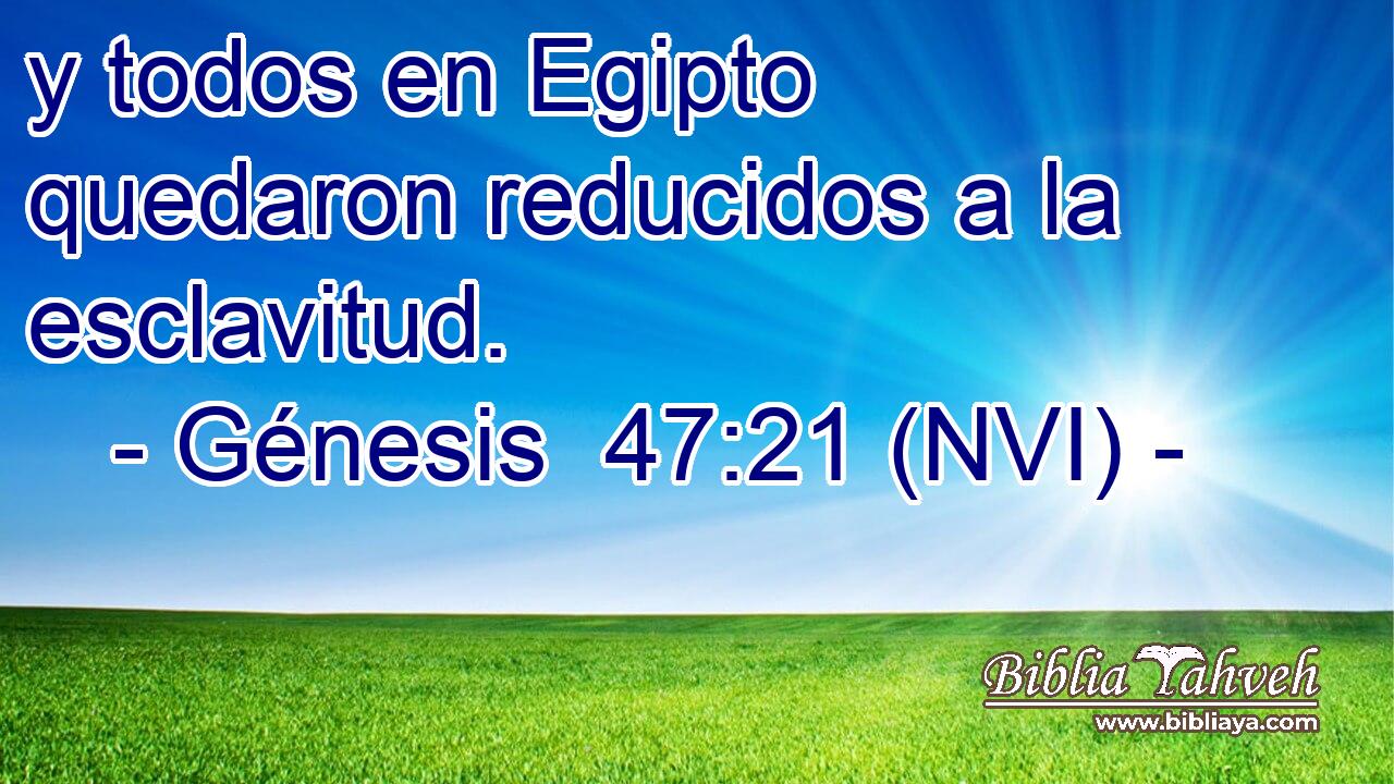  y todos en Egipto quedaron reducidos a la esclavitud. 