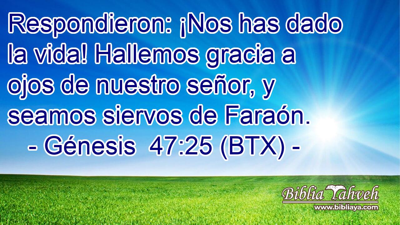 Respondieron: ¡Nos has dado la vida! Hallemos gracia a ojos de nuestro señor, y seamos siervos de Faraón.