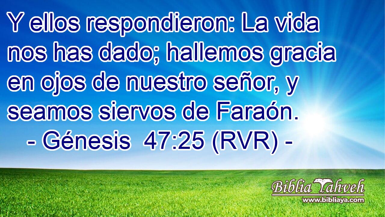 Y ellos respondieron: La vida nos has dado; hallemos gracia en ojos de nuestro señor, y seamos siervos de Faraón.
