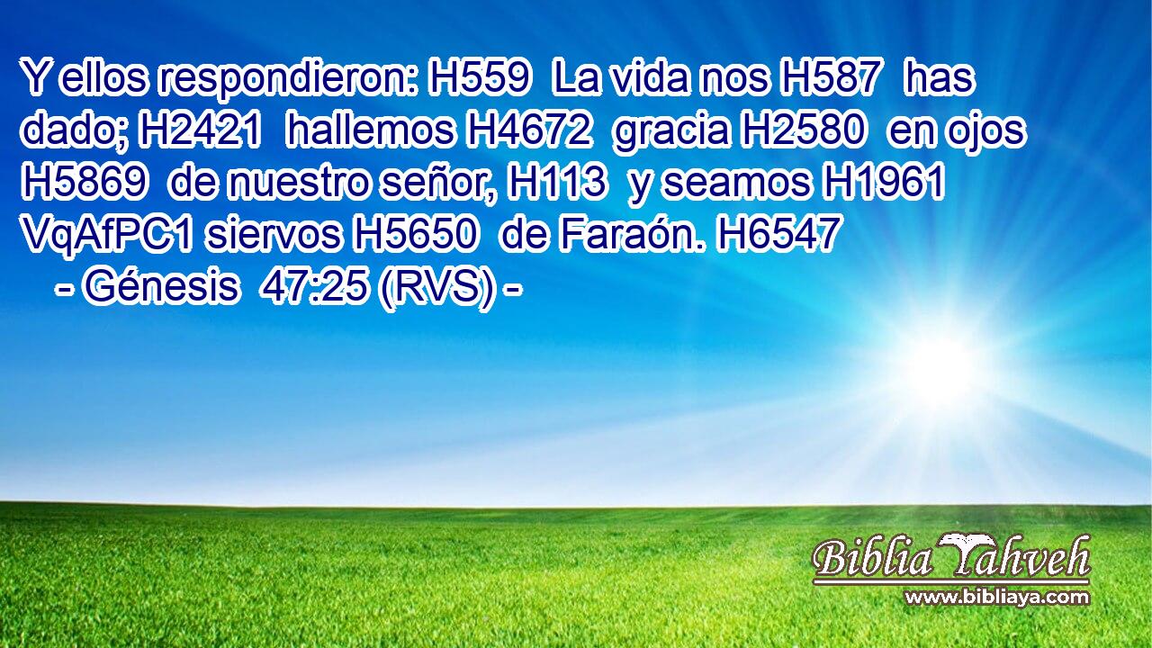 Y ellos respondieron: H559  La vida nos H587  has dado; H2421  hallemos H4672  gracia H2580  en ojos H5869  de nuestro señor, H113  y seamos H1961 VqAfPC1 siervos H5650  de Faraón. H6547  