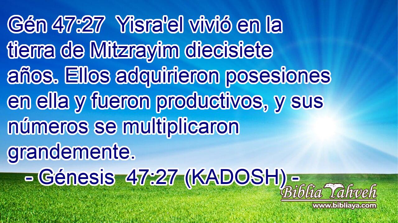  Yisra'el vivió en la tierra de Mitzrayim diecisiete años. Ellos adquirieron posesiones en ella y fueron productivos, y sus números se multiplicaron grandemente. 