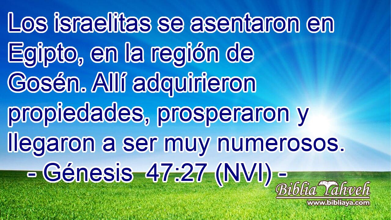  Los israelitas se asentaron en Egipto, en la región de Gosén. Allí adquirieron propiedades, prosperaron y llegaron a ser muy numerosos. 
