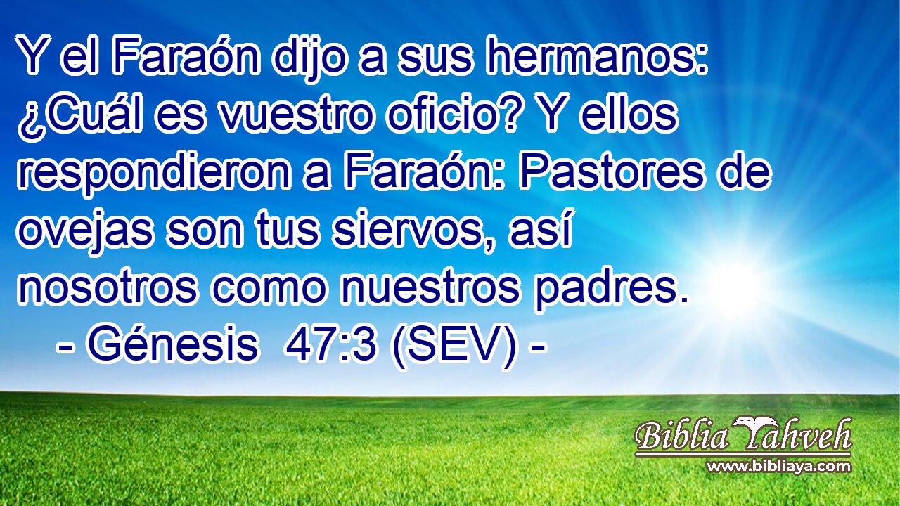 Y el Faraón dijo a sus hermanos: ¿Cuál es vuestro oficio? Y ellos respondieron a Faraón: Pastores de ovejas son tus siervos, así nosotros como nuestros padres.