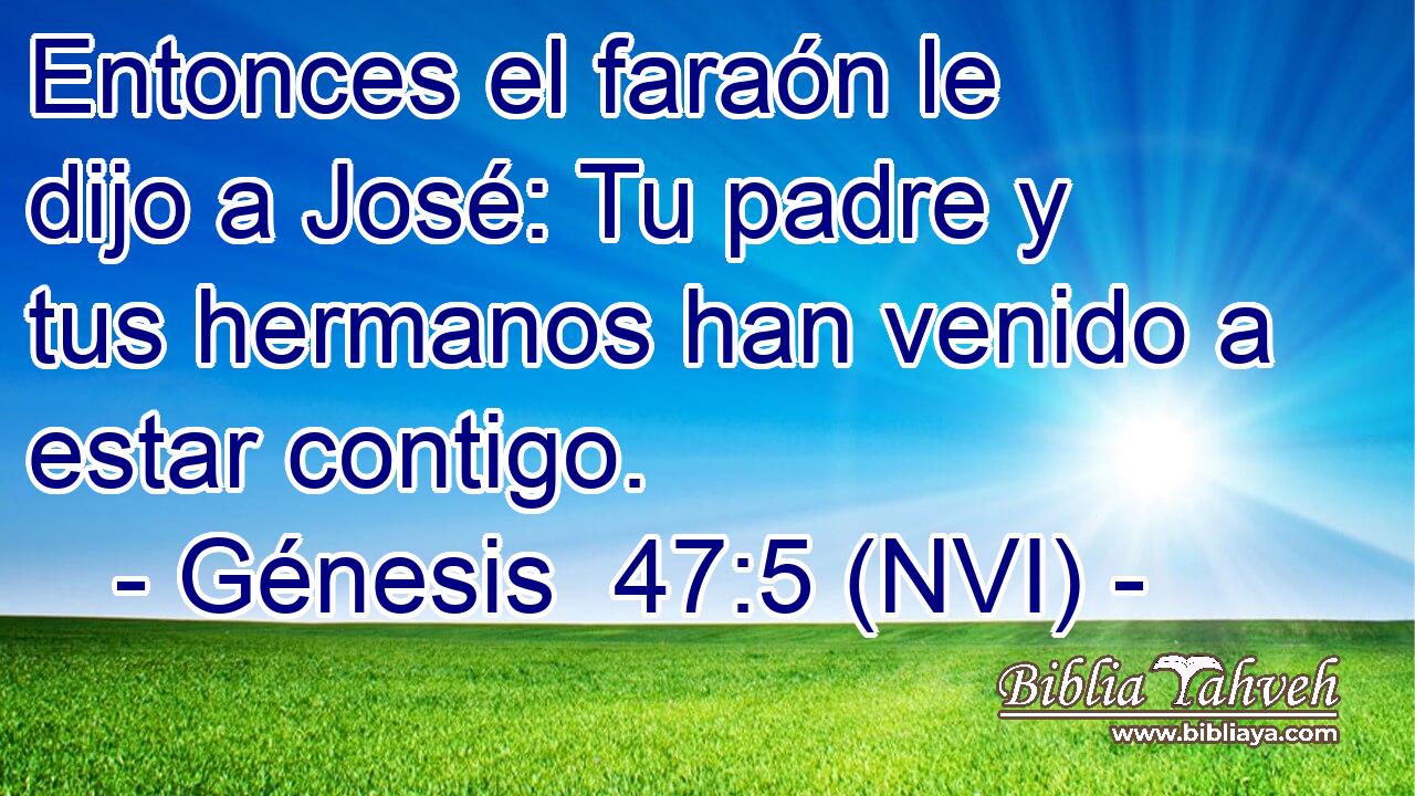  Entonces el faraón le dijo a José: Tu padre y tus hermanos han venido a estar contigo. 