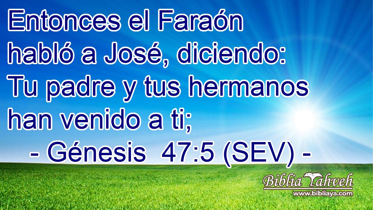 Entonces el Faraón habló a José, diciendo: Tu padre y tus hermanos han venido a ti;