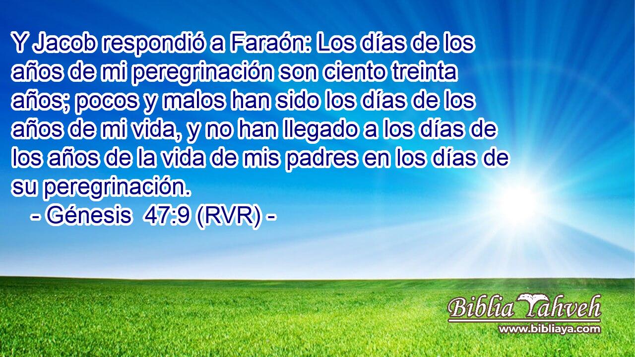 Y Jacob respondió a Faraón: Los días de los años de mi peregrinación son ciento treinta años; pocos y malos han sido los días de los años de mi vida, y no han llegado a los días de los años de la vida de mis padres en los días de su peregrinación.