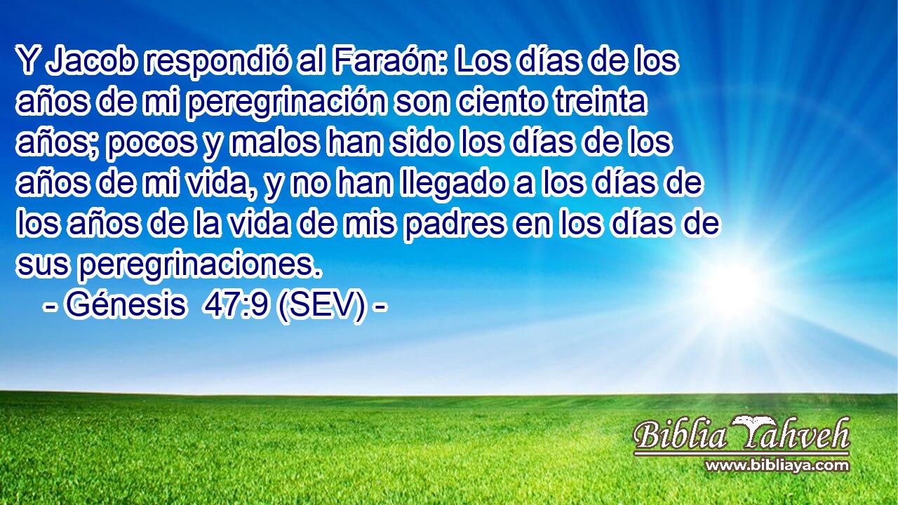 Y Jacob respondió al Faraón: Los días de los años de mi peregrinación son ciento treinta años; pocos y malos han sido los días de los años de mi vida, y no han llegado a los días de los años de la vida de mis padres en los días de sus peregrinaciones.