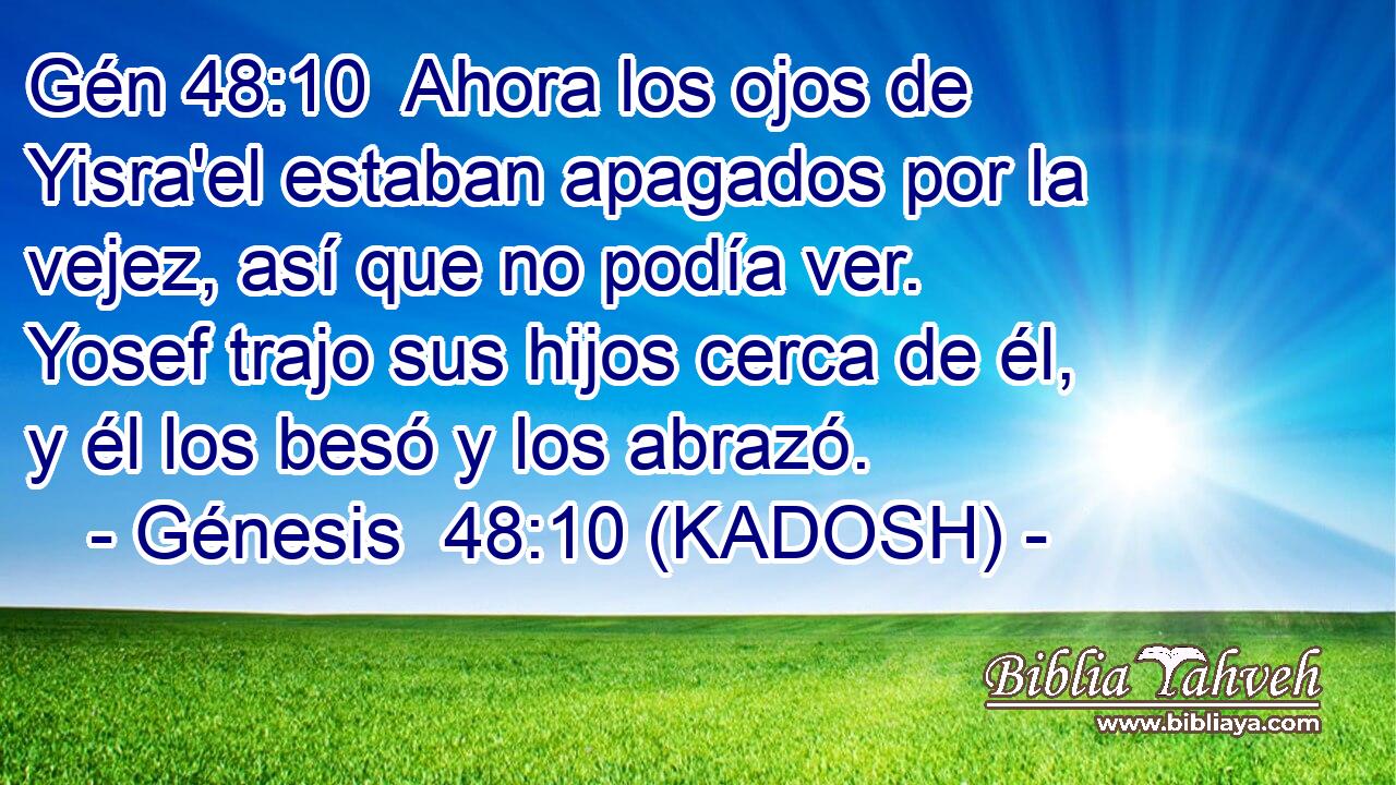  Ahora los ojos de Yisra'el estaban apagados por la vejez, así que no podía ver. Yosef trajo sus hijos cerca de él, y él los besó y los abrazó. 