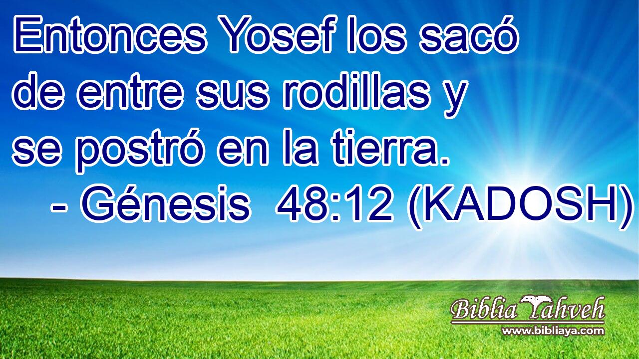  Entonces Yosef los sacó de entre sus rodillas y se postró en la tierra. 