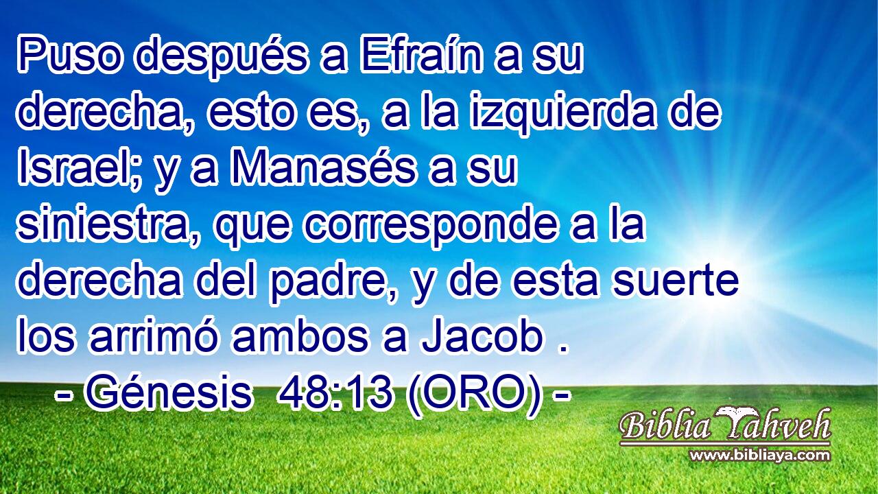  Puso después a Efraín a su derecha, esto es, a la izquierda de Israel; y a Manasés a su siniestra, que corresponde a la derecha del padre, y de esta suerte los arrimó ambos a Jacob . 