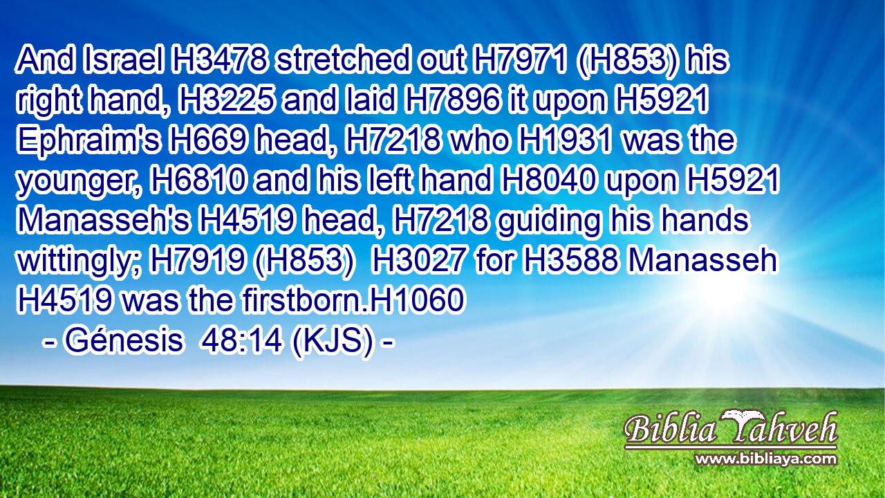 And Israel H3478 stretched out H7971 (H853) his right hand, H3225 and laid H7896 it upon H5921 Ephraim's H669 head, H7218 who H1931 was the younger, H6810 and his left hand H8040 upon H5921 Manasseh's H4519 head, H7218 guiding his hands wittingly; H7919 (H853)  H3027 for H3588 Manasseh H4519 was the firstborn.H1060