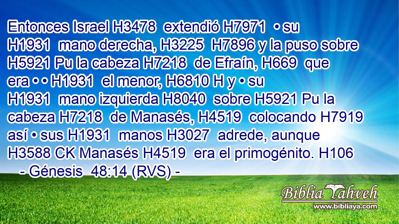 Entonces Israel H3478  extendió H7971  • su H1931  mano derecha, H3225  H7896 y la puso sobre H5921 Pu la cabeza H7218  de Efraín, H669  que era • • H1931  el menor, H6810 H y • su H1931  mano izquierda H8040  sobre H5921 Pu la cabeza H7218  de Manasés, H4519  colocando H7919  así • sus H1931  manos H3027  adrede, aunque H3588 CK Manasés H4519  era el primogénito. H106