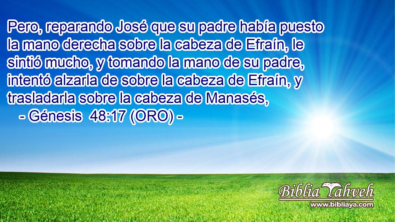  Pero, reparando José que su padre había puesto la mano derecha sobre la cabeza de Efraín, le sintió mucho, y tomando la mano de su padre, intentó alzarla de sobre la cabeza de Efraín, y trasladarla sobre la cabeza de Manasés, 