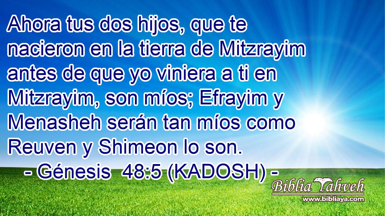  Ahora tus dos hijos, que te nacieron en la tierra de Mitzrayim antes de que yo viniera a ti en Mitzrayim, son míos; Efrayim y Menasheh serán tan míos como Reuven y Shimeon lo son. 