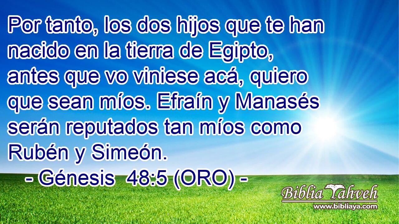 Por tanto, los dos hijos que te han nacido en la tierra de Egipto, antes que vo viniese acá, quiero que sean míos. Efraín y Manasés serán reputados tan míos como Rubén y Simeón. 