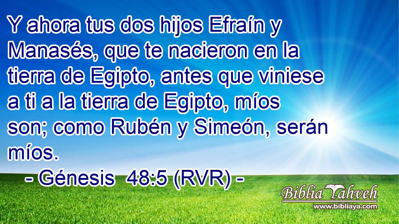 Y ahora tus dos hijos Efraín y Manasés, que te nacieron en la tierra de Egipto, antes que viniese a ti a la tierra de Egipto, míos son; como Rubén y Simeón, serán míos.
