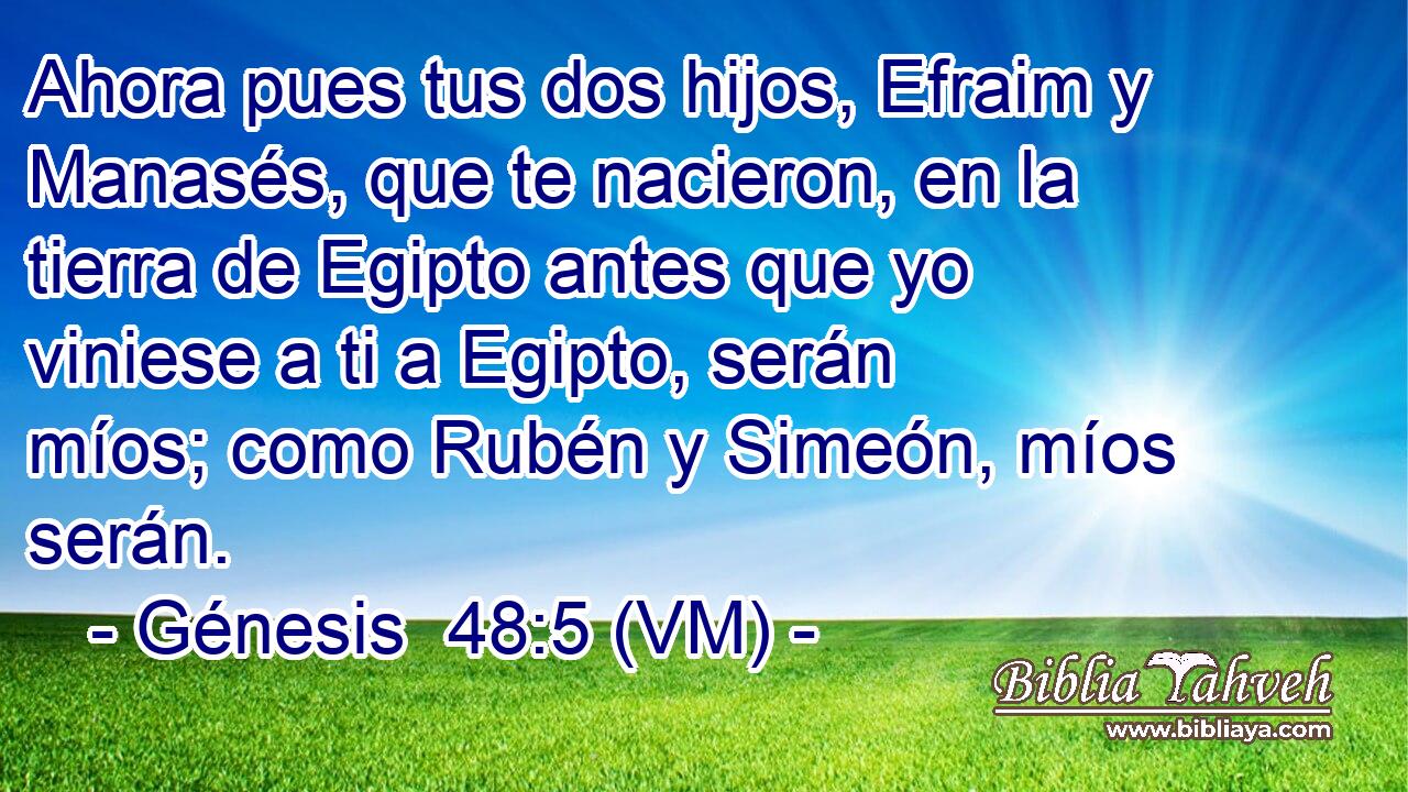  Ahora pues tus dos hijos, Efraim y Manasés, que te nacieron, en la tierra de Egipto antes que yo viniese a ti a Egipto, serán míos; como Rubén y Simeón, míos serán. 