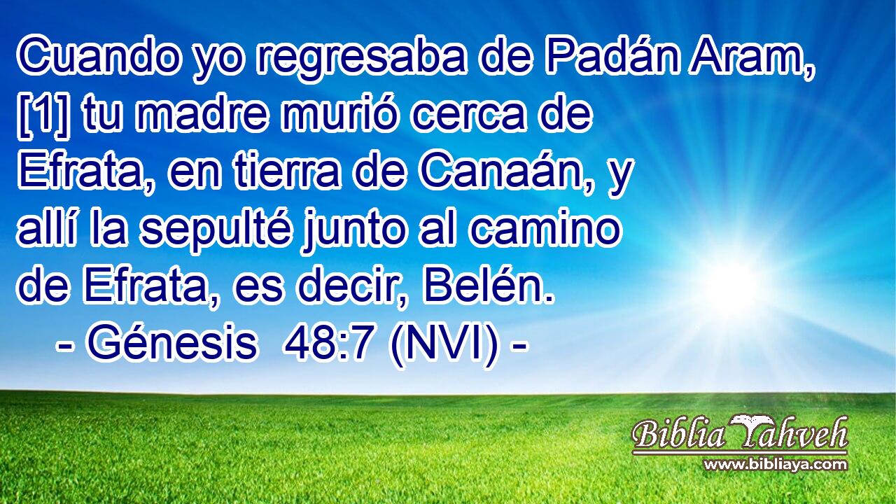  Cuando yo regresaba de Padán Aram, [1] tu madre murió cerca de Efrata, en tierra de Canaán, y allí la sepulté junto al camino de Efrata, es decir, Belén. 