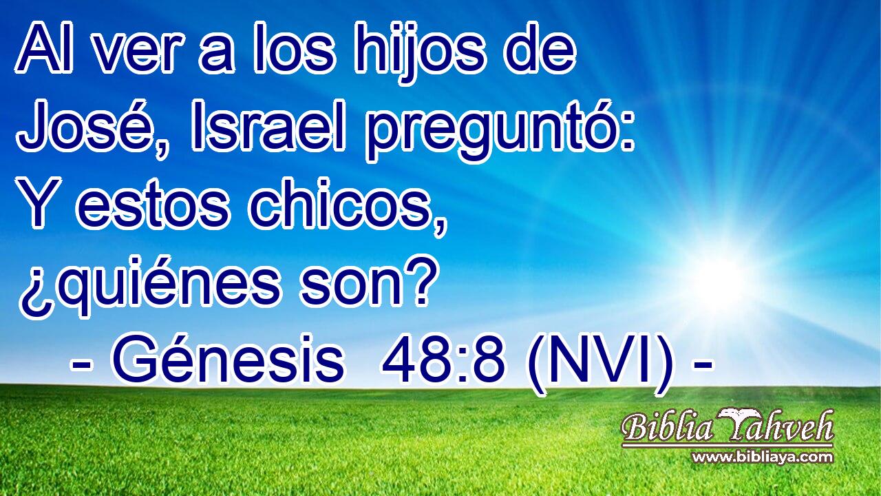  Al ver a los hijos de José, Israel preguntó: Y estos chicos, ¿quiénes son? 