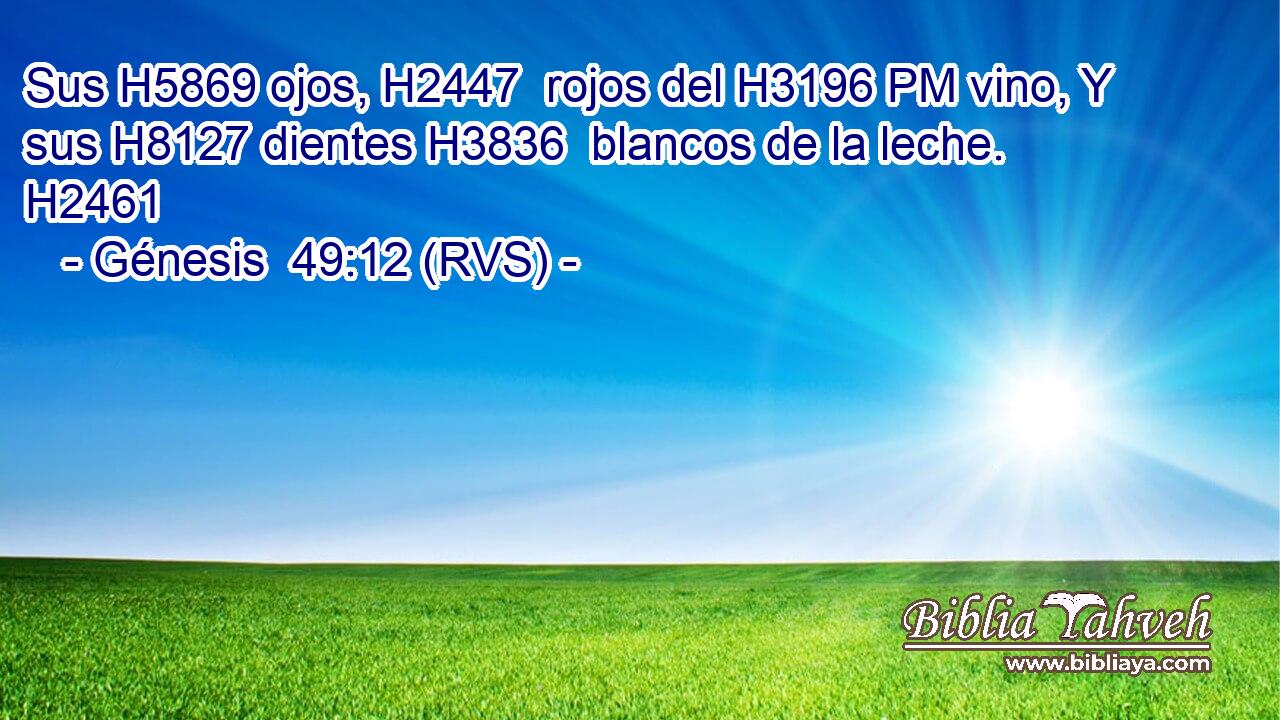 Sus H5869 ojos, H2447  rojos del H3196 PM vino, Y sus H8127 dientes H3836  blancos de la leche. H2461 