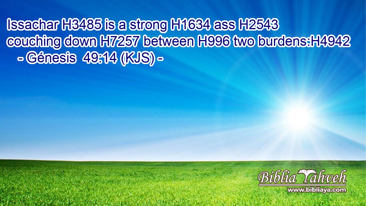 Issachar H3485 is a strong H1634 ass H2543 couching down H7257 between H996 two burdens:H4942