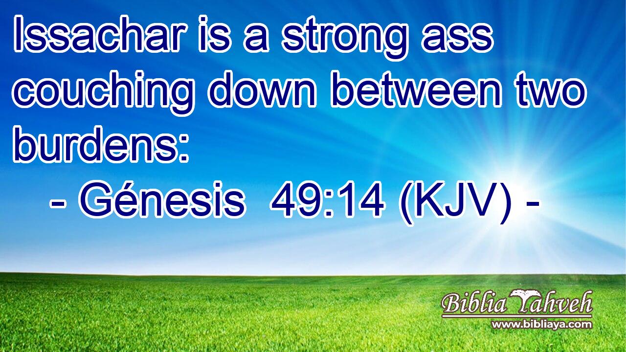 Issachar is a strong ass couching down between two burdens: