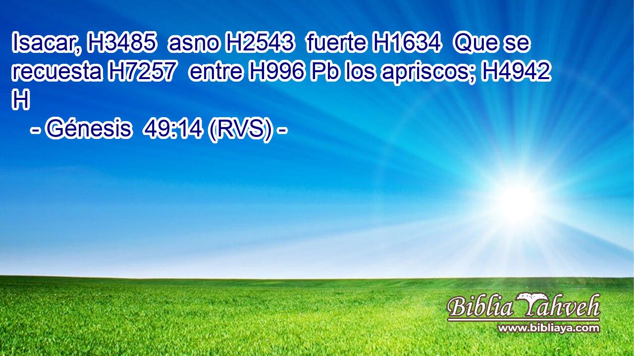 Isacar, H3485  asno H2543  fuerte H1634  Que se recuesta H7257  entre H996 Pb los apriscos; H4942 H 