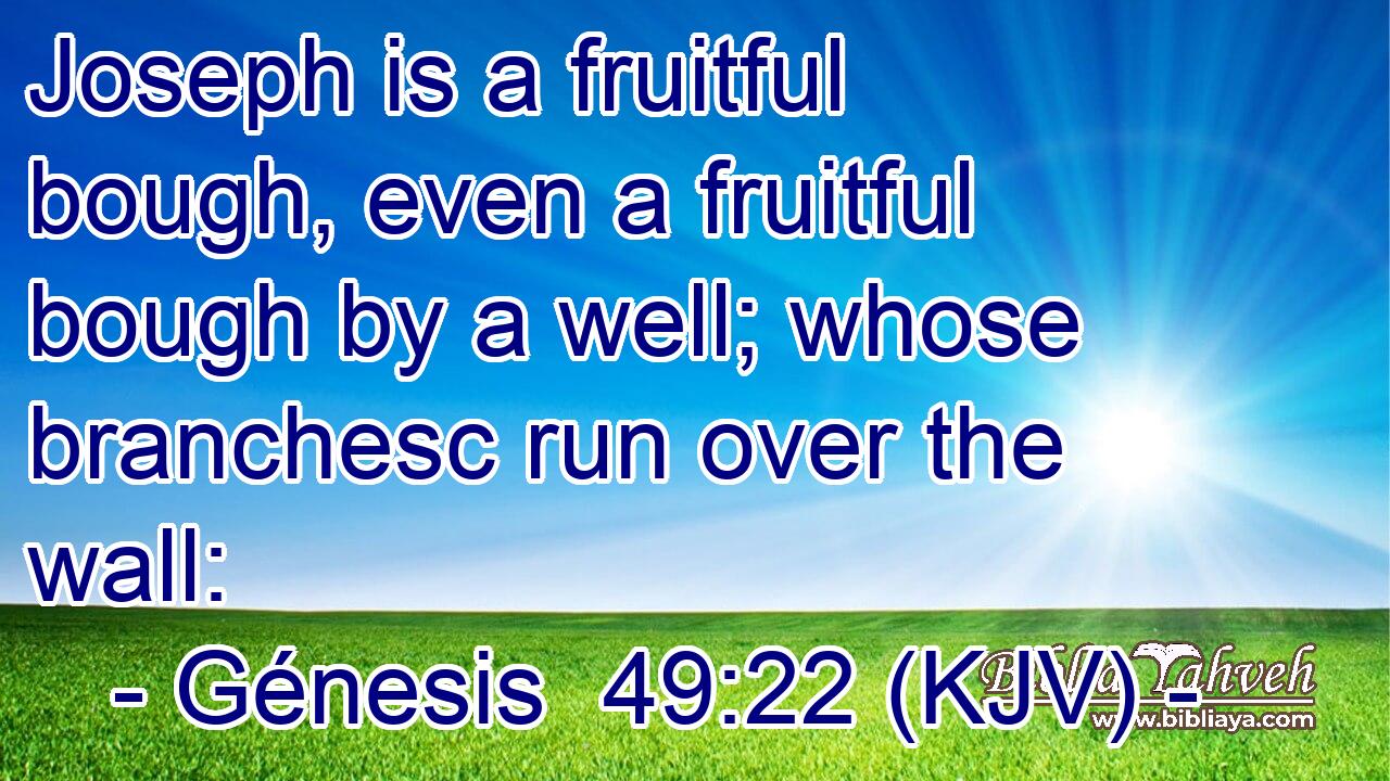 Joseph is a fruitful bough, even a fruitful bough by a well; whose branchesc run over the wall: