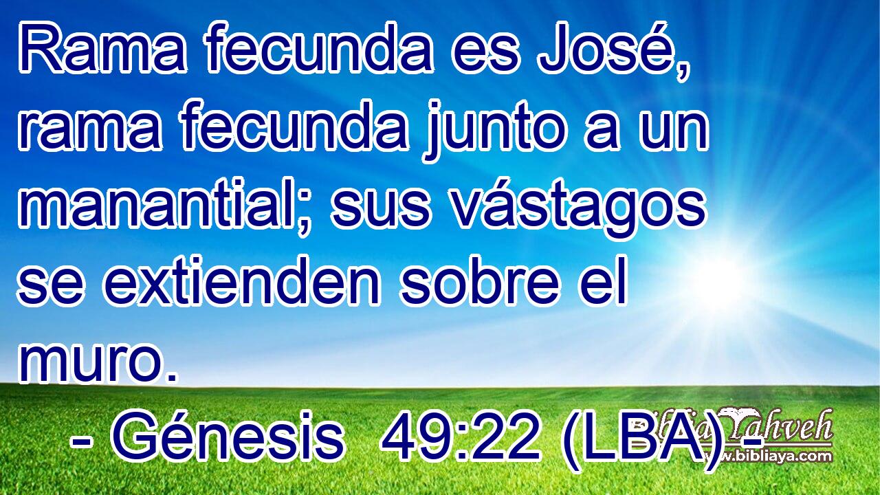 Rama fecunda es José, rama fecunda junto a un manantial; sus vástagos se extienden sobre el muro.