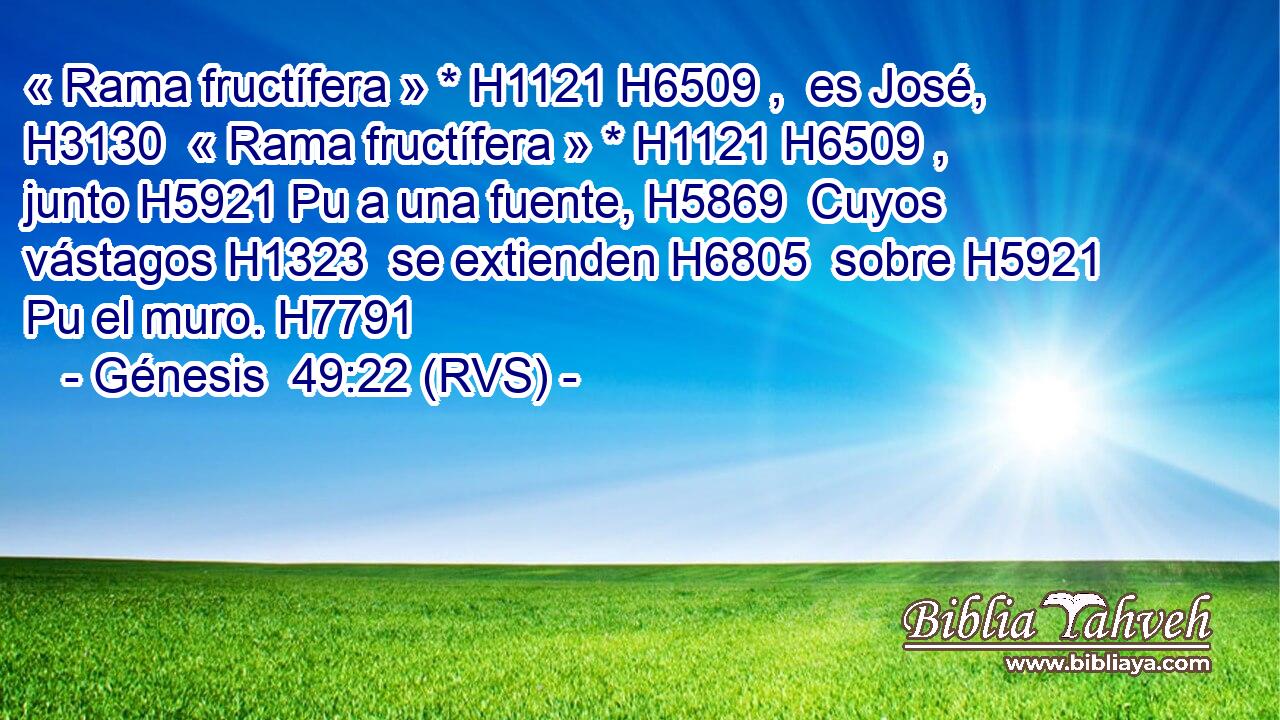 « Rama fructífera » * H1121 H6509 ,  es José, H3130  « Rama fructífera » * H1121 H6509 ,  junto H5921 Pu a una fuente, H5869  Cuyos vástagos H1323  se extienden H6805  sobre H5921 Pu el muro. H7791  