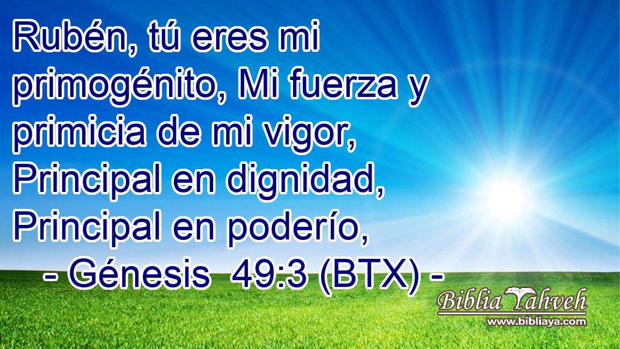 Rubén, tú eres mi primogénito, Mi fuerza y primicia de mi vigor, Principal en dignidad, Principal en poderío,