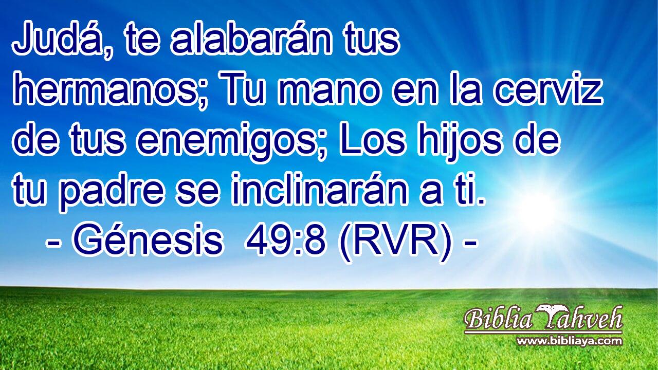 Judá, te alabarán tus hermanos; Tu mano en la cerviz de tus enemigos; Los hijos de tu padre se inclinarán a ti.