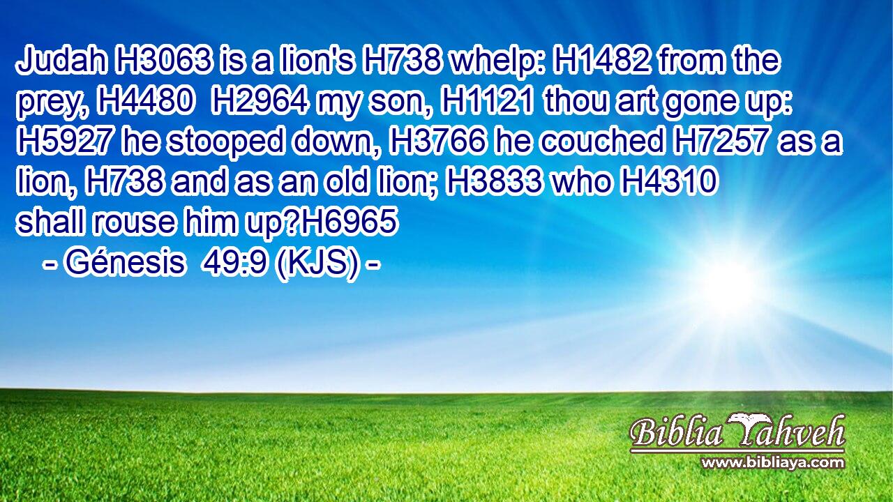 Judah H3063 is a lion's H738 whelp: H1482 from the prey, H4480  H2964 my son, H1121 thou art gone up: H5927 he stooped down, H3766 he couched H7257 as a lion, H738 and as an old lion; H3833 who H4310 shall rouse him up?H6965