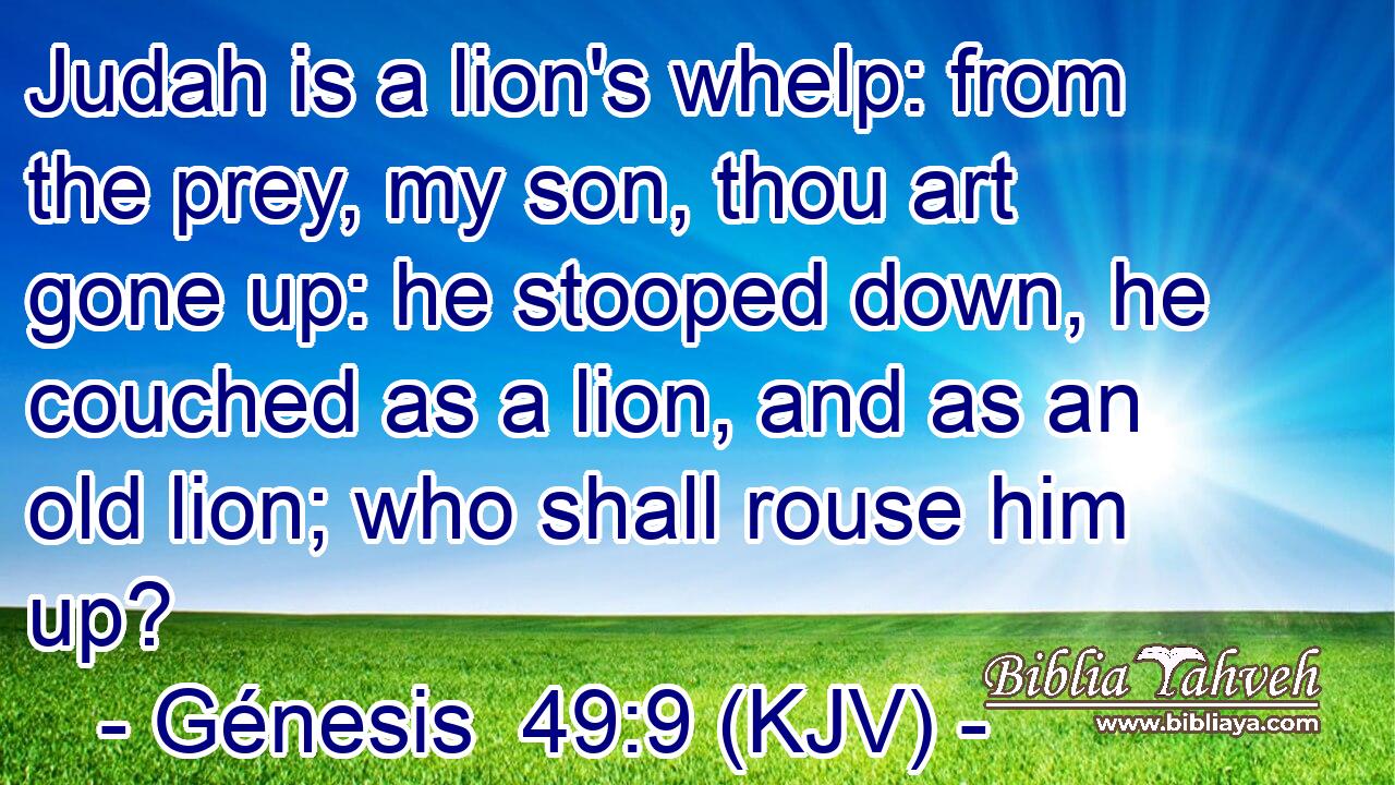 Judah is a lion's whelp: from the prey, my son, thou art gone up: he stooped down, he couched as a lion, and as an old lion; who shall rouse him up?
