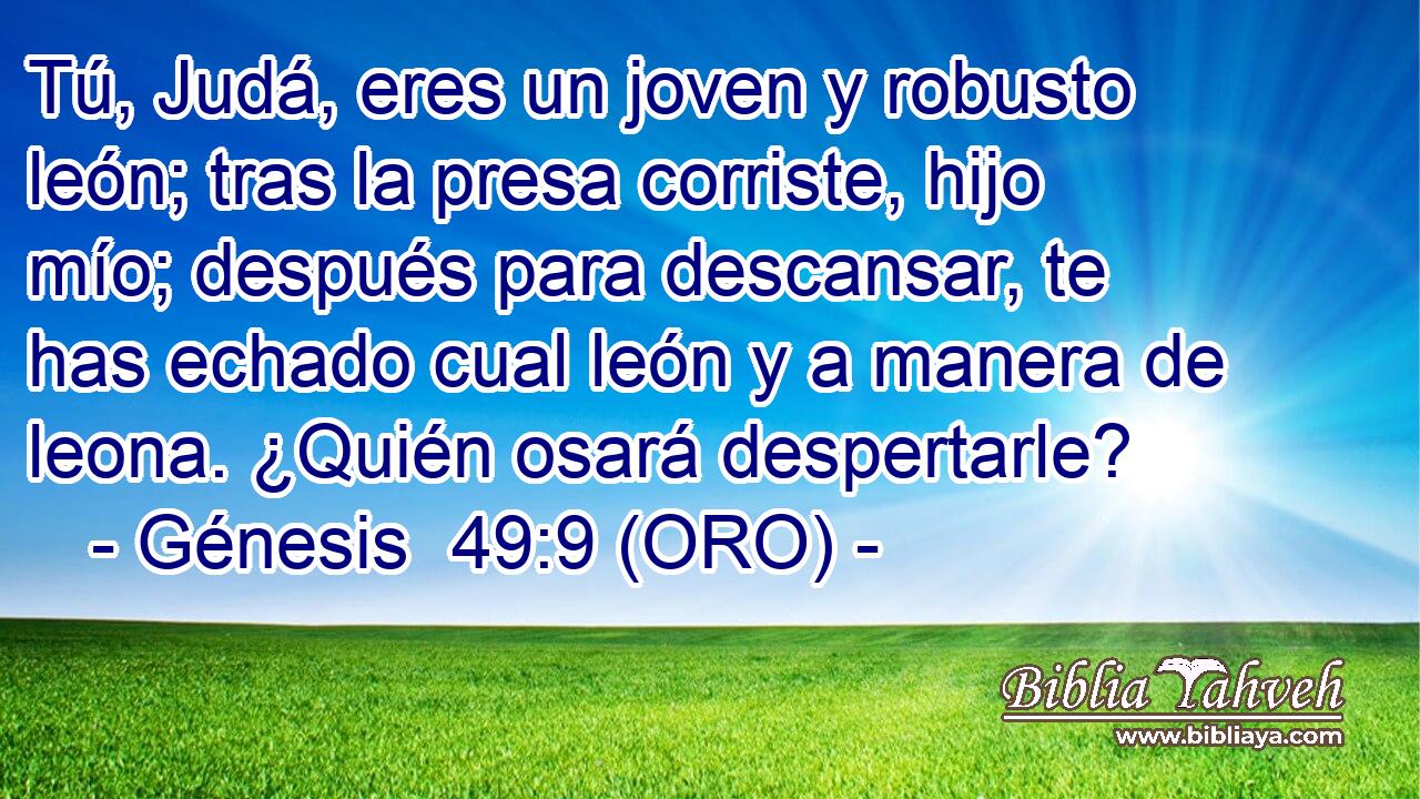 Tú, Judá, eres un joven y robusto león; tras la presa corriste, hijo mío; después para descansar, te has echado cual león y a manera de leona. ¿Quién osará despertarle? 