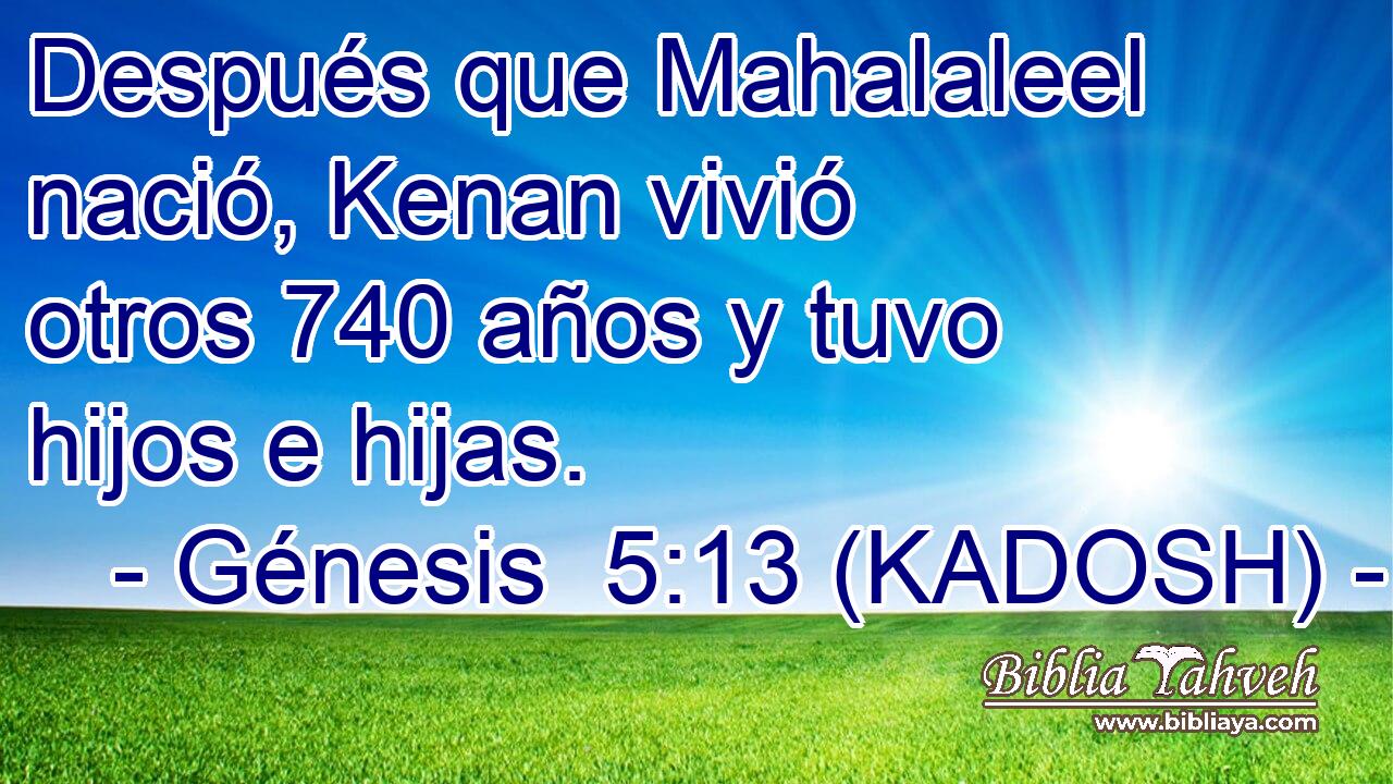  Después que Mahalaleel nació, Kenan vivió otros 740 años y tuvo hijos e hijas. 
