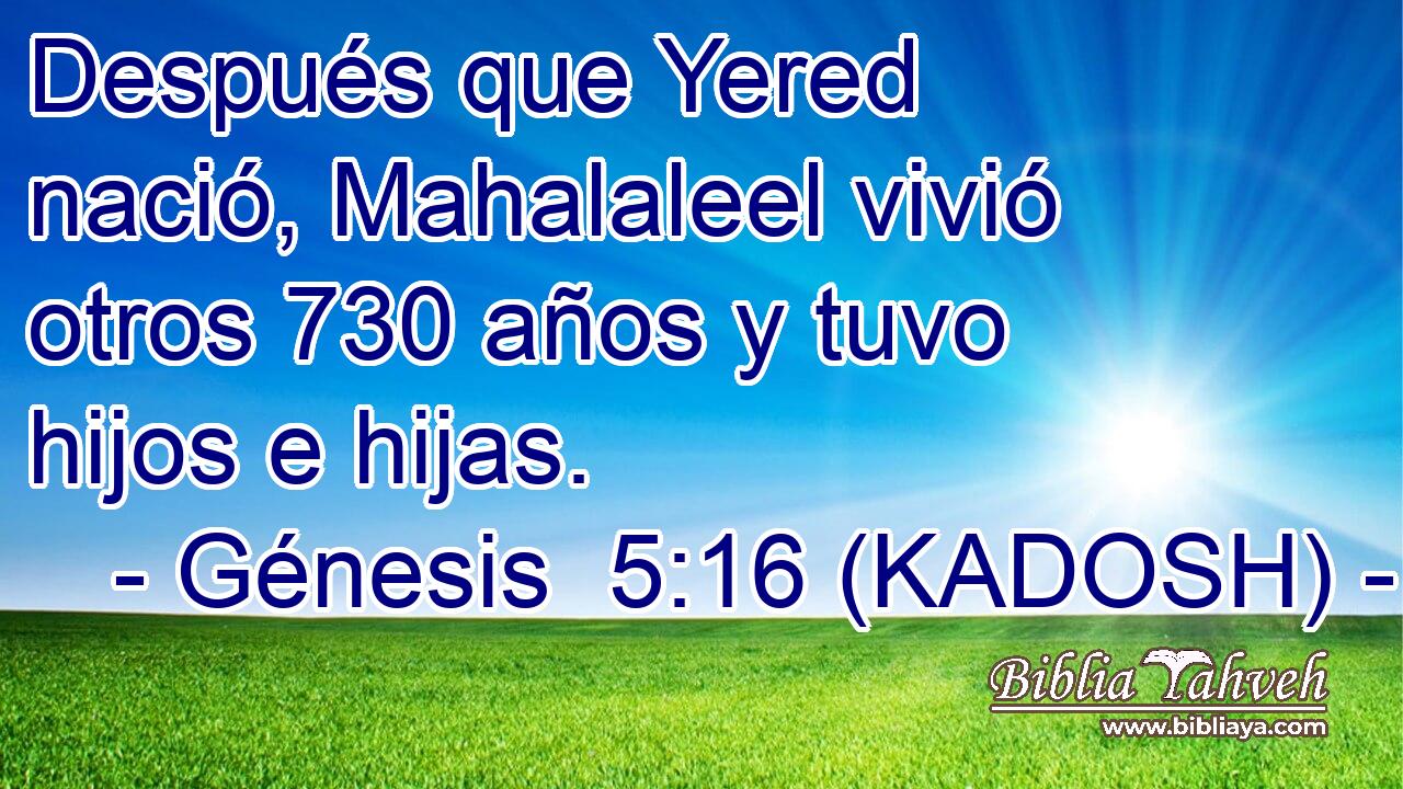  Después que Yered nació, Mahalaleel vivió otros 730 años y tuvo hijos e hijas. 