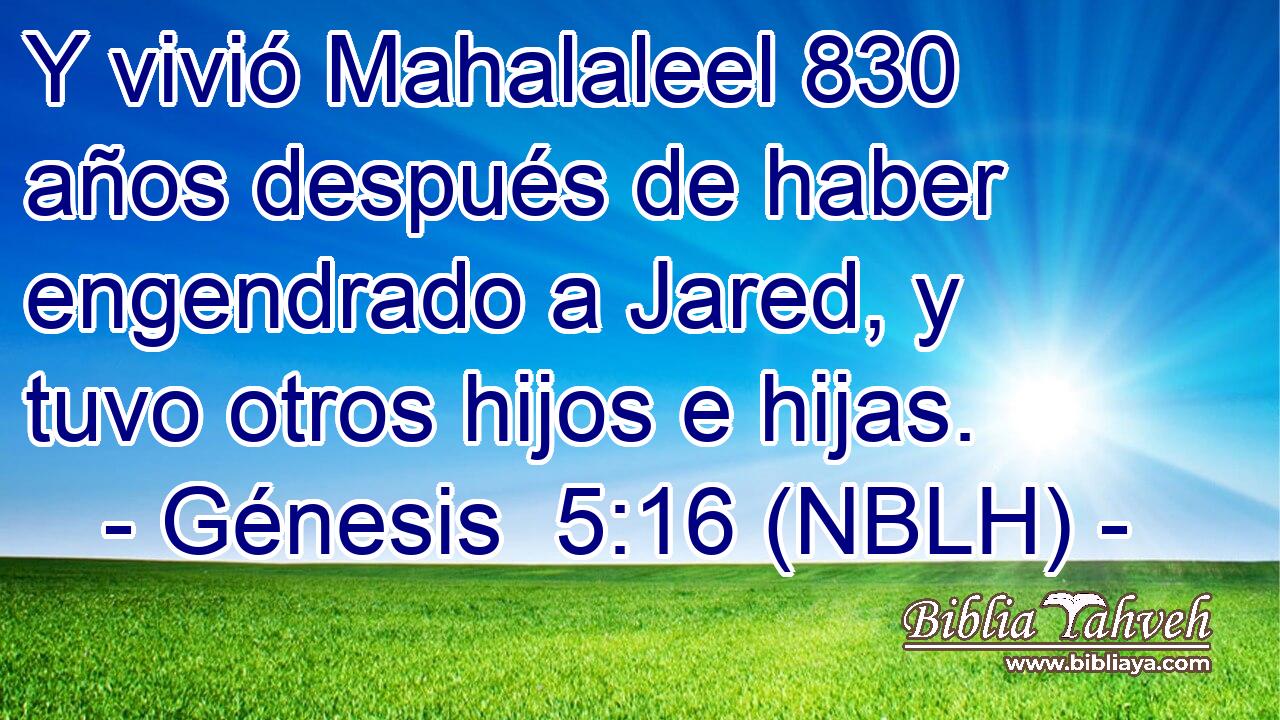  Y vivió Mahalaleel 830 años después de haber engendrado a Jared, y tuvo otros hijos e hijas. 