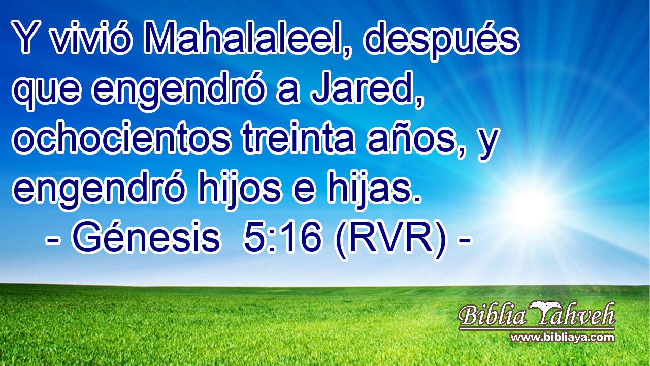 Y vivió Mahalaleel, después que engendró a Jared, ochocientos treinta años, y engendró hijos e hijas.