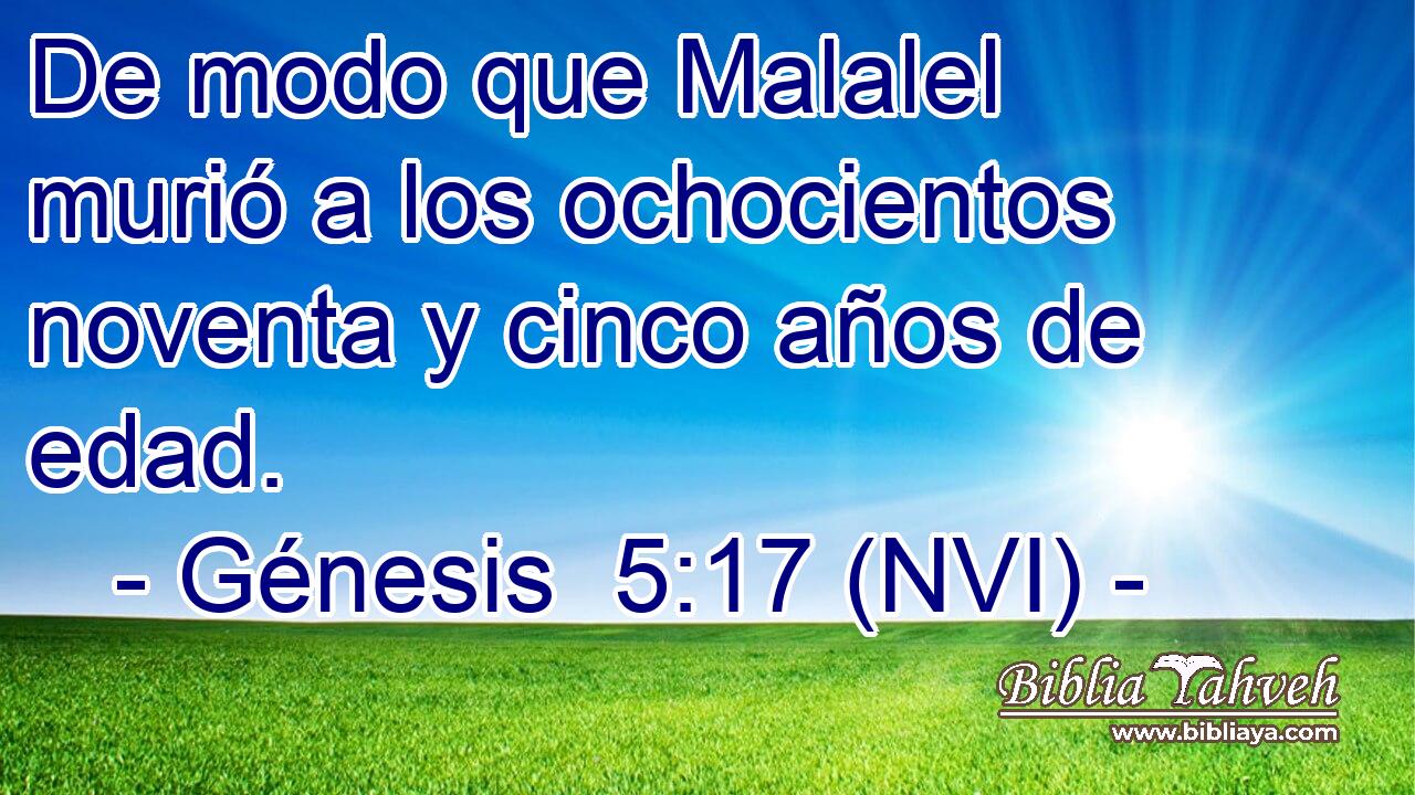  De modo que Malalel murió a los ochocientos noventa y cinco años de edad. 