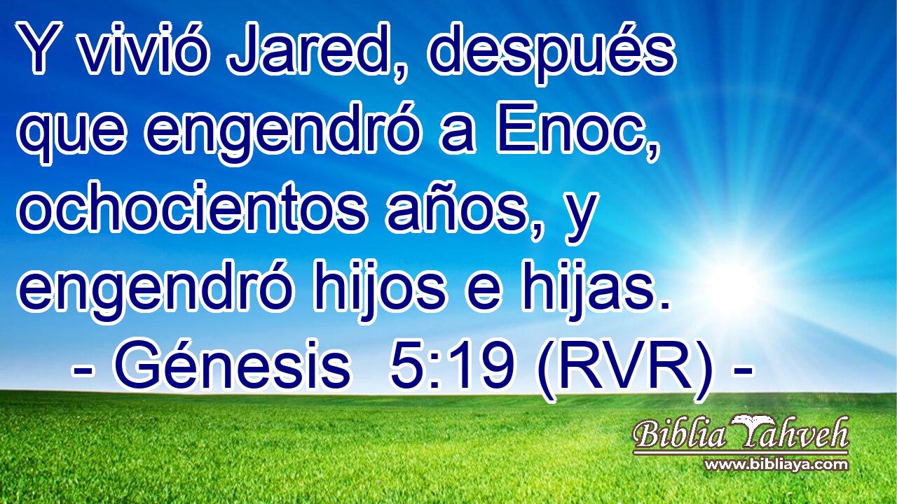Y vivió Jared, después que engendró a Enoc, ochocientos años, y engendró hijos e hijas.