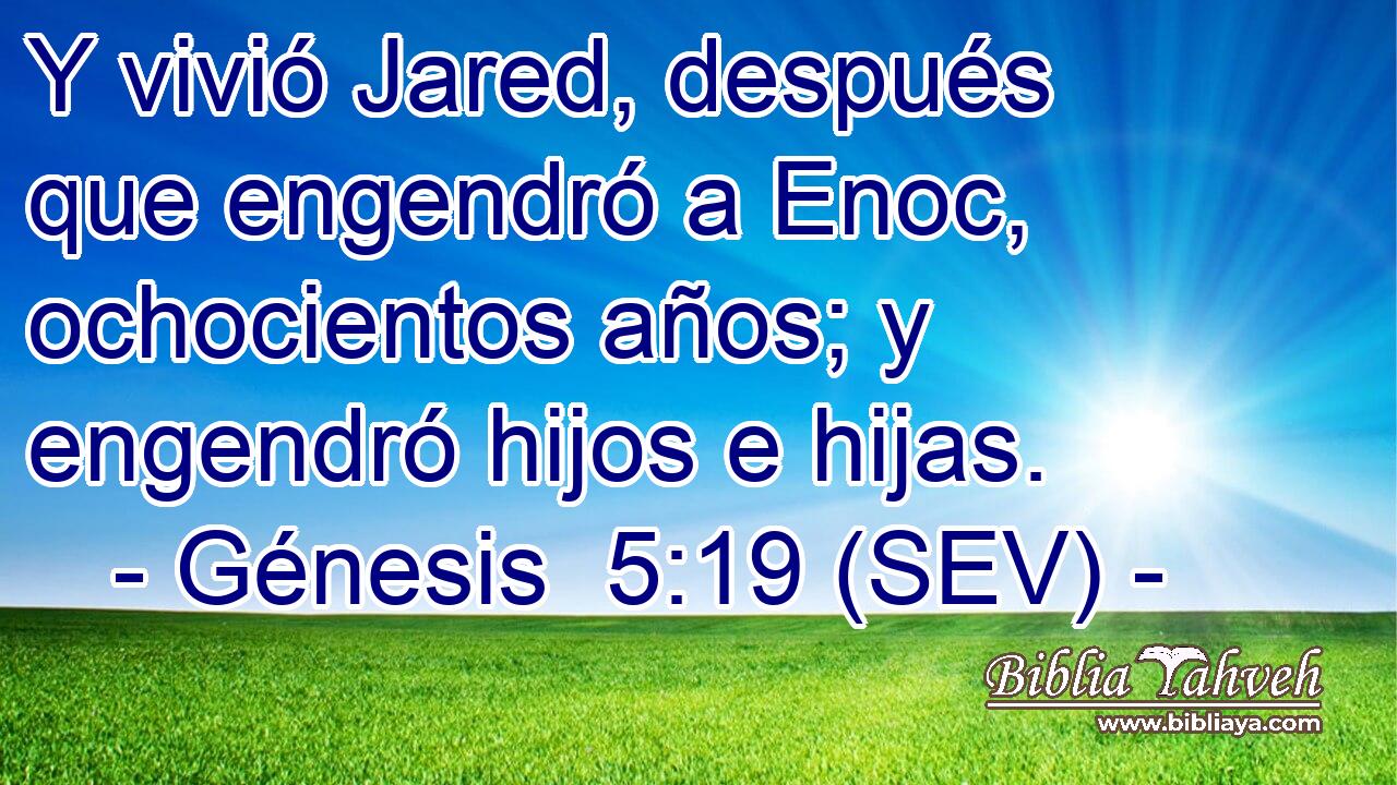 Y vivió Jared, después que engendró a Enoc, ochocientos años; y engendró hijos e hijas.