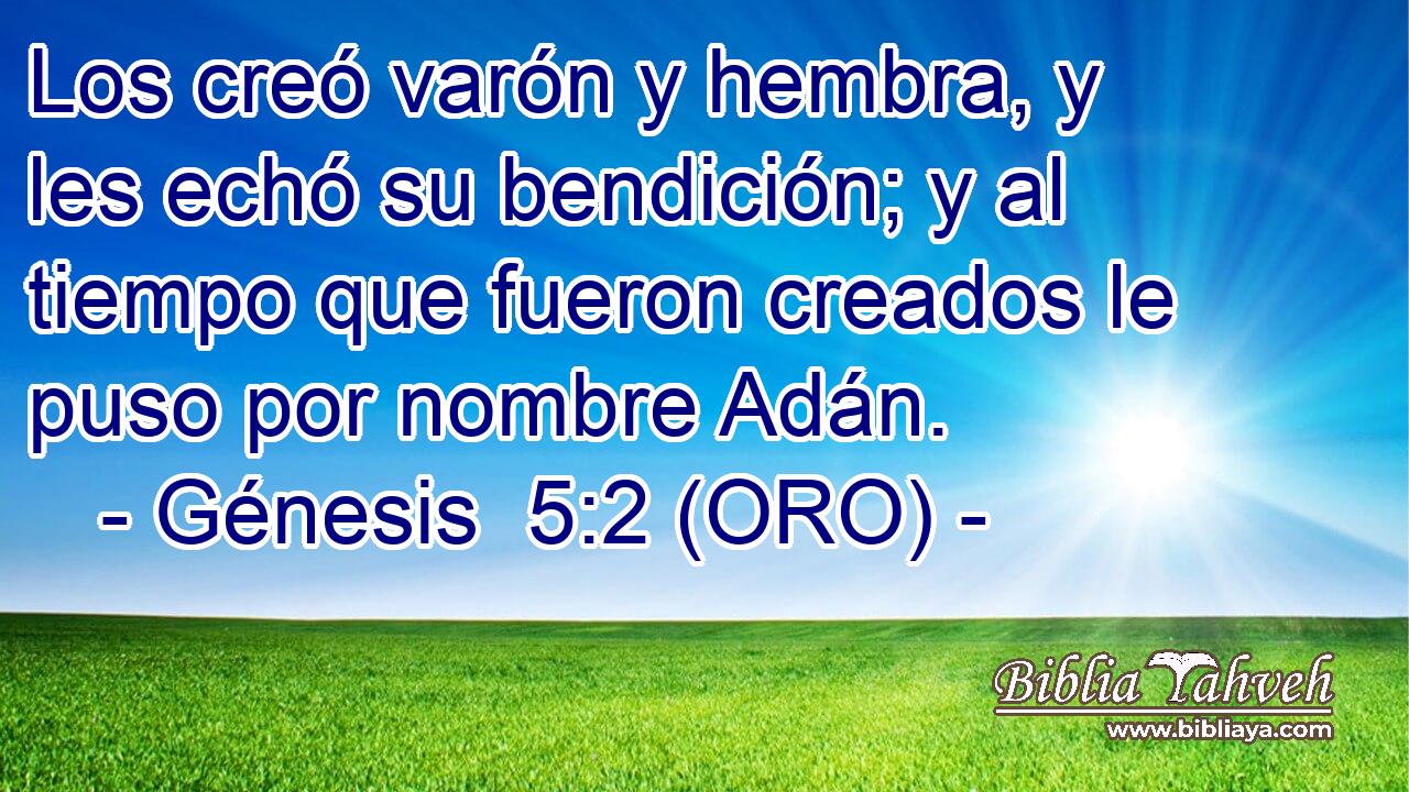  Los creó varón y hembra, y les echó su bendición; y al tiempo que fueron creados le puso por nombre Adán. 